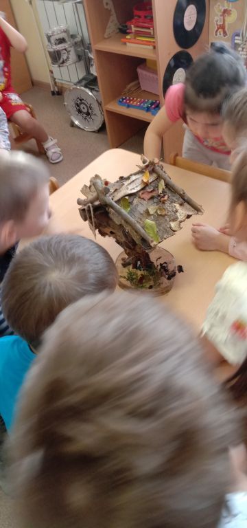 IMG_20241107_095121.jpg