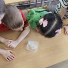 IMG_20260406_091435.jpg