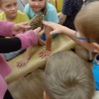 IMG_20250807_104305.jpg