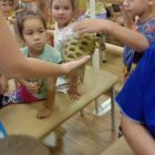 IMG_20250807_104936.jpg